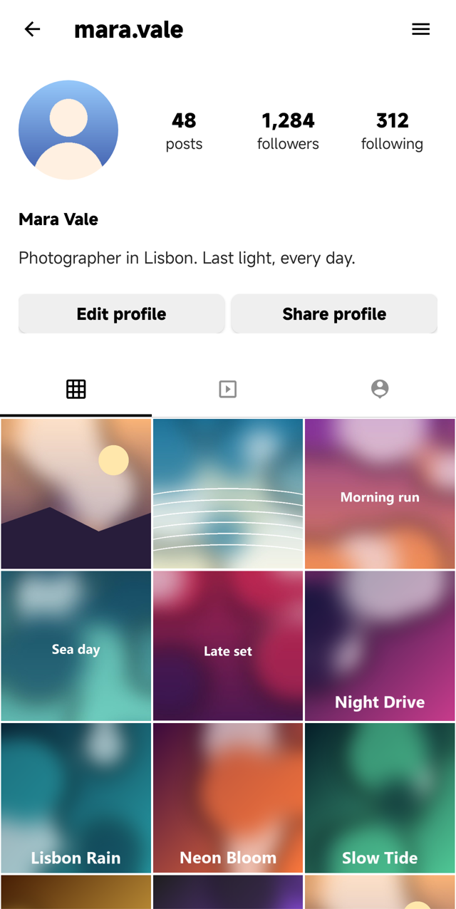 A profile on a phone: a header, a strip of three icon tabs and a grid of photos three across
